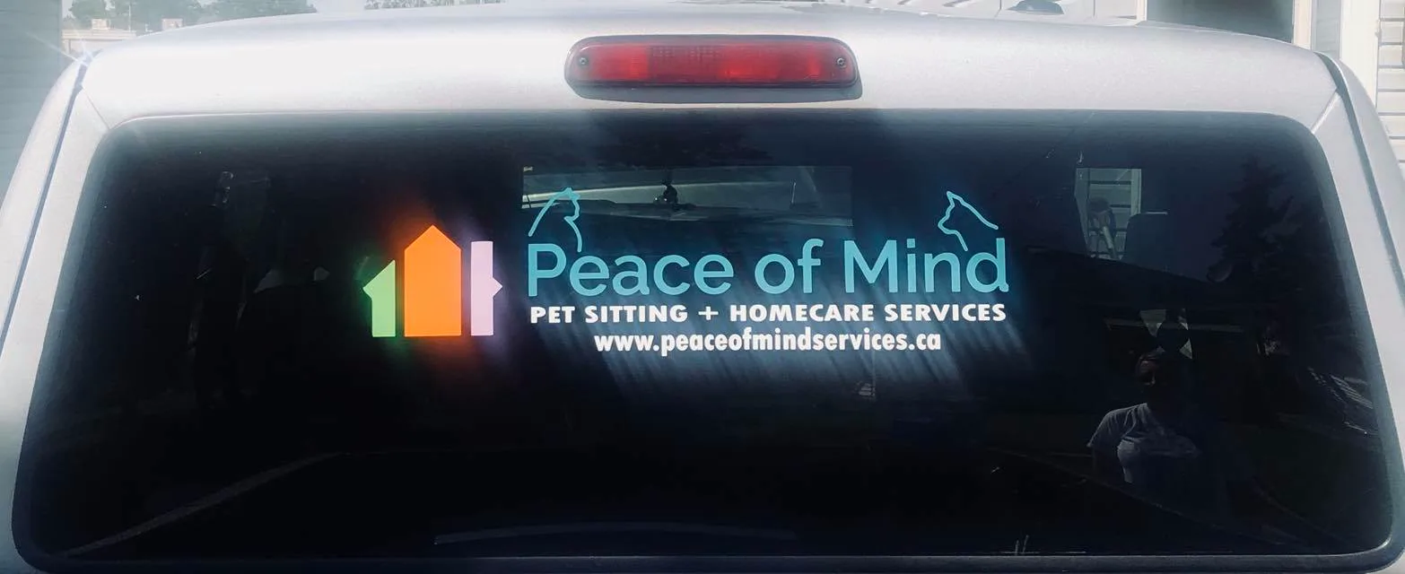 Window Perf made by Signs613