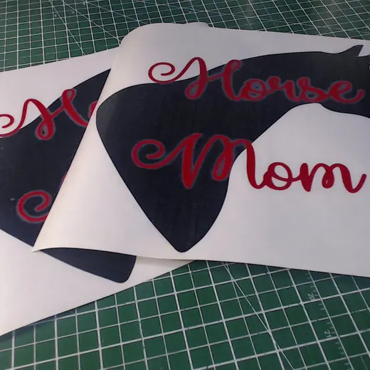 Decals custom sign work by Signs613 in the 613 area